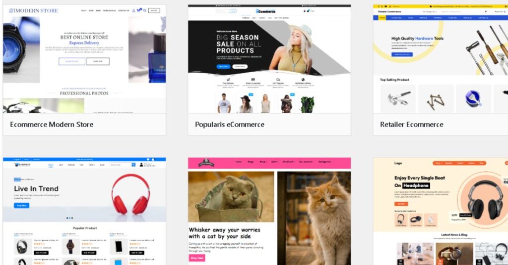 Choose an eCommerce Theme